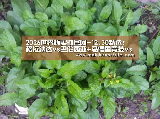 世界杯买球官网