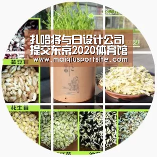 扎哈将与日设计公司提交东京2020体育馆新方案【世界杯竞猜平台】(图2) 世界杯买球官网