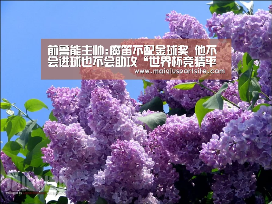 前鲁能主帅:魔笛不配金球奖 他不会进球也不会助攻“世界杯竞猜平台”(图4) 世界杯买球