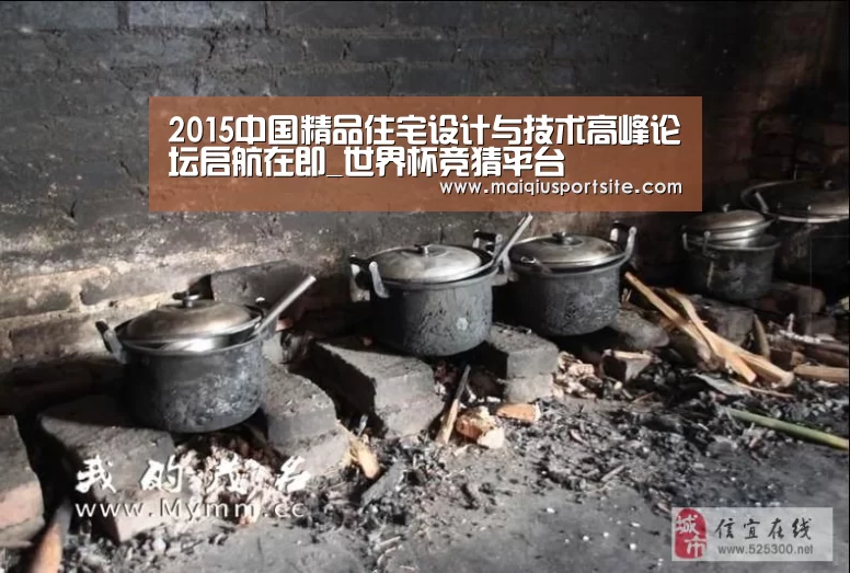 2015中国精品住宅设计与技术高峰论坛启航在即_世界杯竞猜平台(图2) 世界杯买球